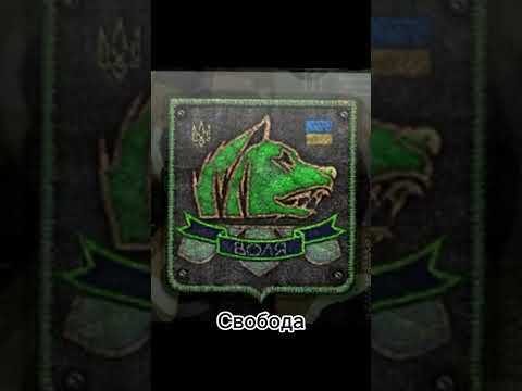 Какая твоя любимая