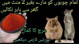 get rid of mouse | Chuhe baghane ka asaan tarika | rat killer | Rat Killer trick#snm recipe