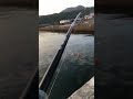 🐙釣れました🤗