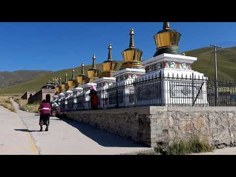 中國青海 阿柔大寺 信徒跪拜磕頭前行 | Tibetan Buddhist monastery Arou Da Temple in Qinghai China.