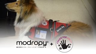 Modropy + 4 Paws For Ability