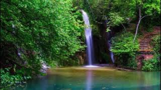 SoulPoizen - Jungle Visions (Original Mix)