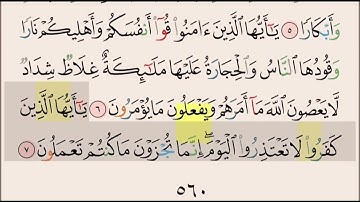 سورة التحريم ايه ٦ و٧ مكرره ١٠ مرات بصوت الشيخ علي الحذيفي