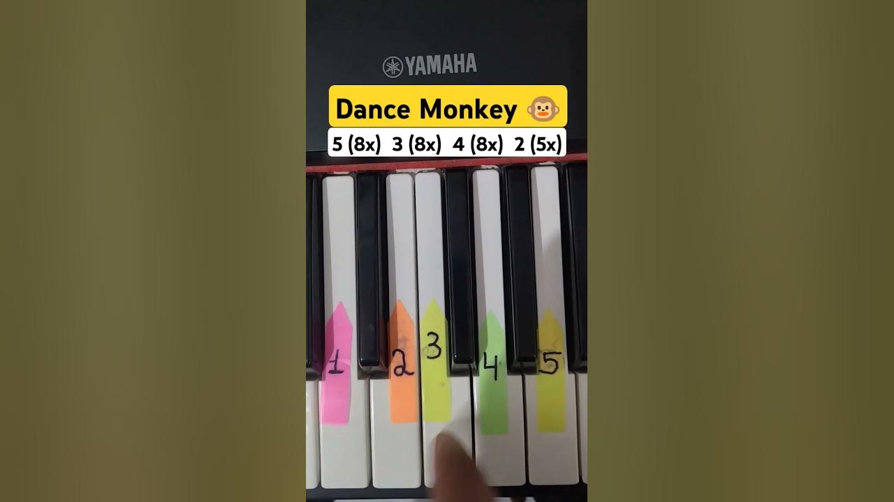 Easy Piano Tutorial – Dance Monkey 🎹🐒