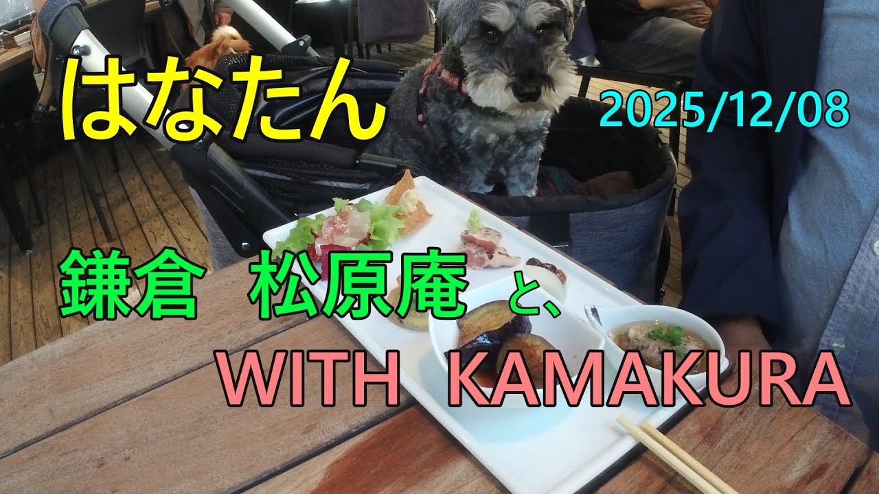 鎌倉 松原庵と、WITH KAMAKURA