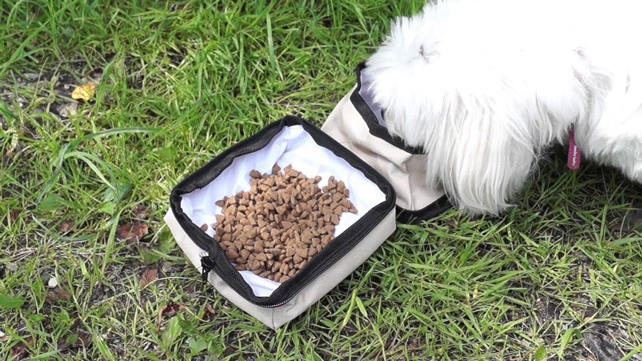 Travl bowl - Rejse mad- og vandskål