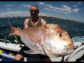 Snapper fishing Gold Coast Style 1080p