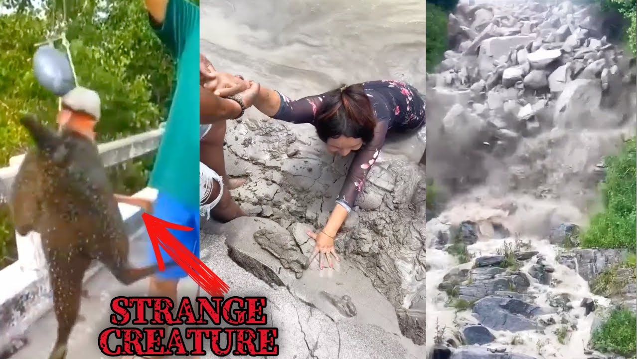 Most JawDropping Strangest Things Caught on Camera Moments of 2024