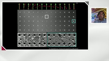 SENSE.nano 2020 Symposium Session 1: Sensing at the level of cell and subcell