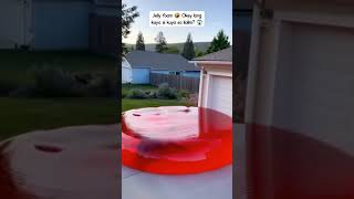 Jelly Foam Mattress