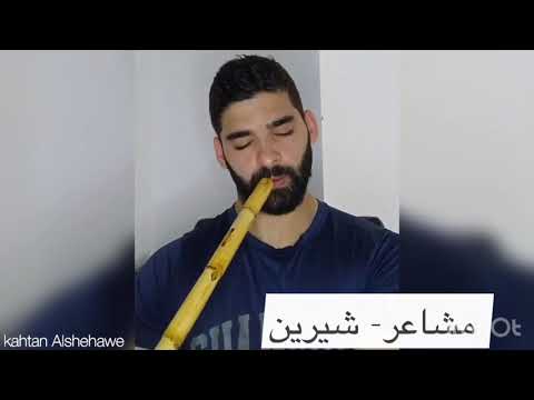 شيرين مشاعر