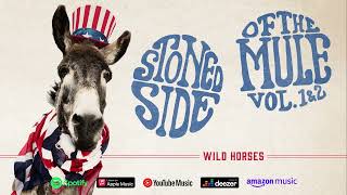 Jorgen Carlsson — Wild Horses music video thumbnail