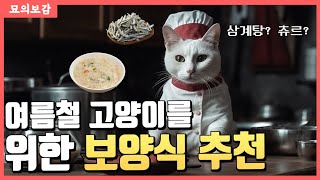 여름철 고양이를 위한 보양식을 알아보자 feat. 용 삼계탕