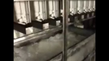 Ice machine supplier / 10T cube ice machine