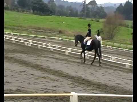 Elaine and River- Dressage Test