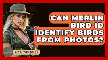 Can Merlin Bird ID Identify Birds From Photos? - Bird Watching Diaries