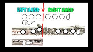 Flute Fingering Chart