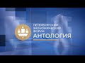 Петербургский международный экономический форум. Антология 1997 — 2023