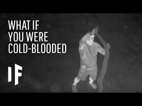 What If Humans Became Cold-Blooded?