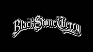 Watch Black Stone Cherry Drinkin Champagne video