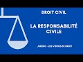 La responsabilit civile