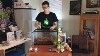 How to setup a Western Hognose BioActive Terrarium. Self-Cleaning. Self- Maintaining.