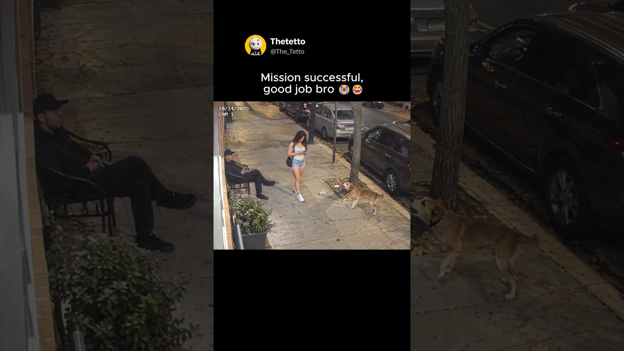 Bro Used His Dog to Get a Date 😭😂