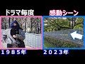 【毎度おさわがせします2】【ロケ地】【これは泣ける?】【東京都多摩市】【奈良原公園】【新藤恵美】