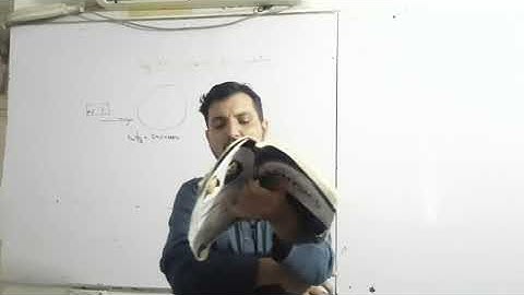 Electromagnetic Induction||Mcqs|| Part 1