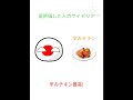 ○○した人のサイゼリヤ #ポーランドボール #shorts #countryballs