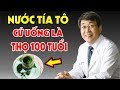 Lấy Tía Tô Nấu Nước Uống Theo Cách Này Là Bạn Đã Tạo Ra Thần Dược 100 Triệu Chẳng Mua Nổi