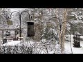 Birds feeding in the Snow - Michigan Birdfeeders