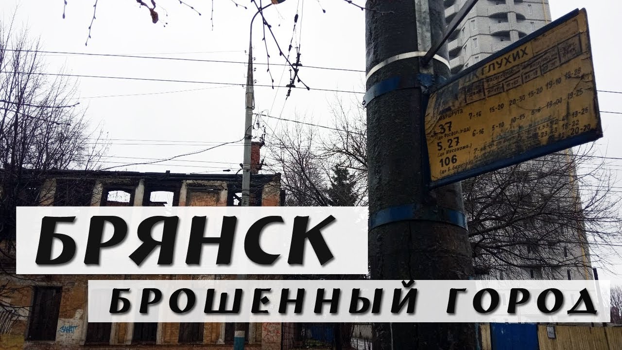 Volkswagen центр брянск