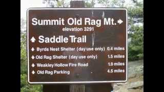 Old Rag Hikes 2010