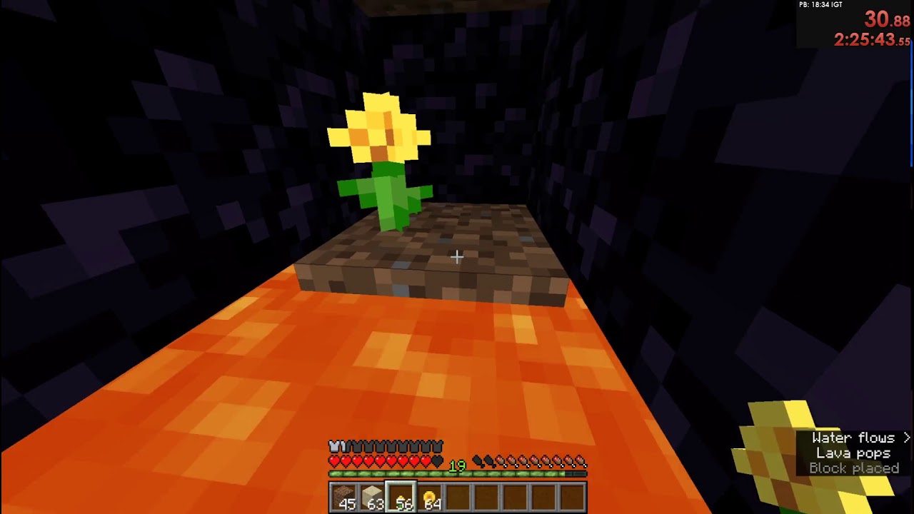 Flower, Dirt and Sand Portal YouTube