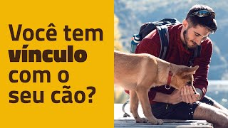 Você tem um VÍNCULO COM SEU CACHORRO ou é apenas quem paga as despesas?