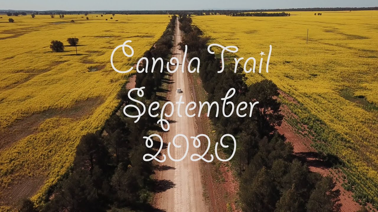 Canola Trail 2020