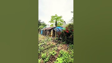 #shorts Nền mặt tiền tỉnh lộ 910 view sông đẹp mê - LH: 0973.898.830 (Trương)