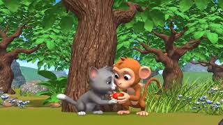 Imagery: monkey n cat friendship 