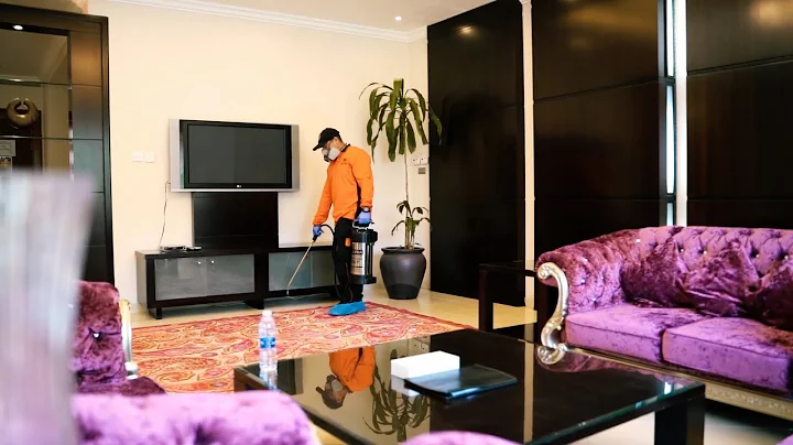 Pest Control and Disinfection Services Dubai