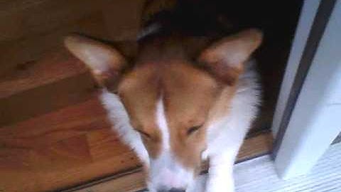 Hacked one time use CVS camera