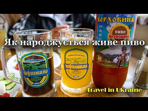 Де посмакувати живого пива.  Верховина. Пивоварня.Виготовлення живого пива.
