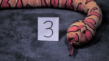 FEARnet - Return of Night With Bite: "SNAKE"