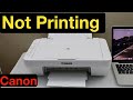 Canon Printer Not Printing !!