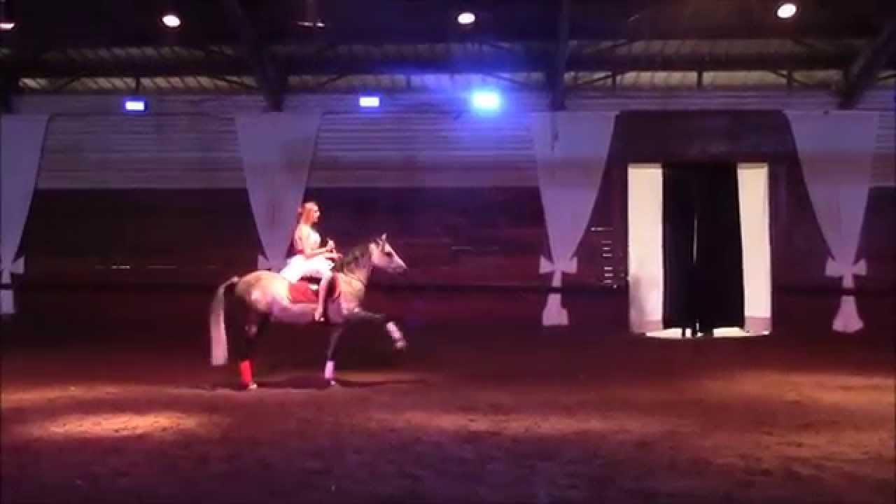 Le Viel Ange et l'Enfant, spectacle équestre de Noël aux Grandes Écuries de Chantilly