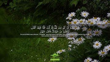 تلاوة رائعة: " فَإِذَا عَزَمْتَ فَتَوَكَّلْ عَلَى اللَّهِ ۚ  " | سورة آل عمران | قرآن
