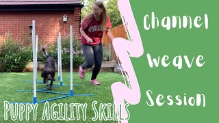 WEAVE TRAINING Channel Weave Method | Foundation Agility Puppy Training