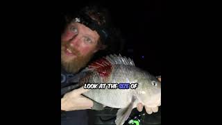 SlingRifle Fishing Catch and Cook in the Florida Wild  #fishing #outdoors #fishing #bowfishing