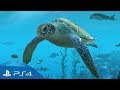 Aqua tv  gameplay trailer  ps4