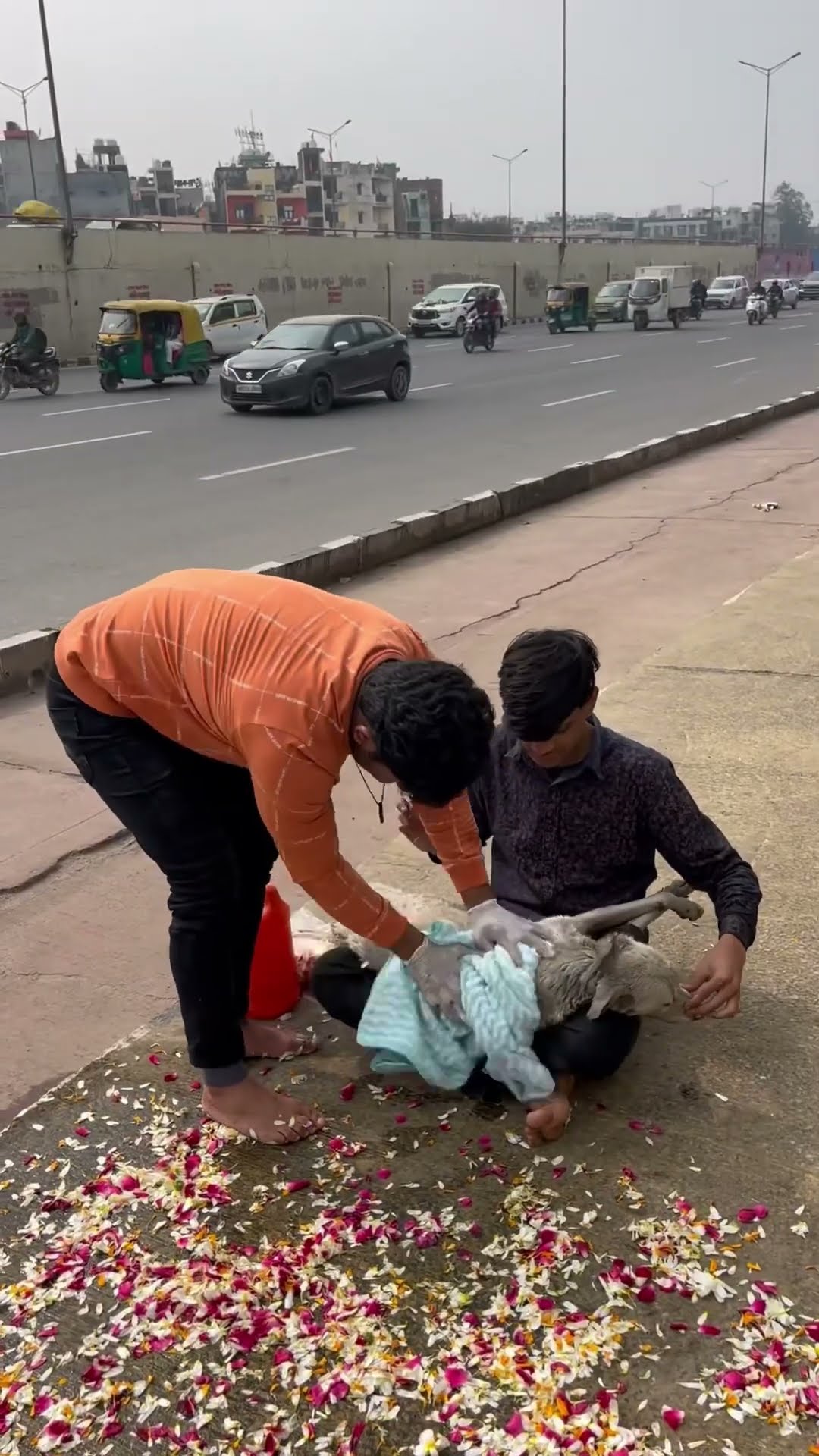 ?मारकर नाले मैं फ़ेक दिया ?#humanity #respect #helping #trending #viralvideo #youtubeshorts ?
